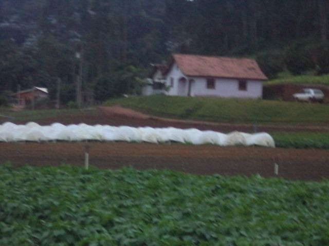 Santa maria de jequitiba - Foto 9