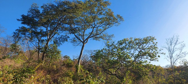 Lote em condomínio, pode financiar, 1000 m2 - Foto 3