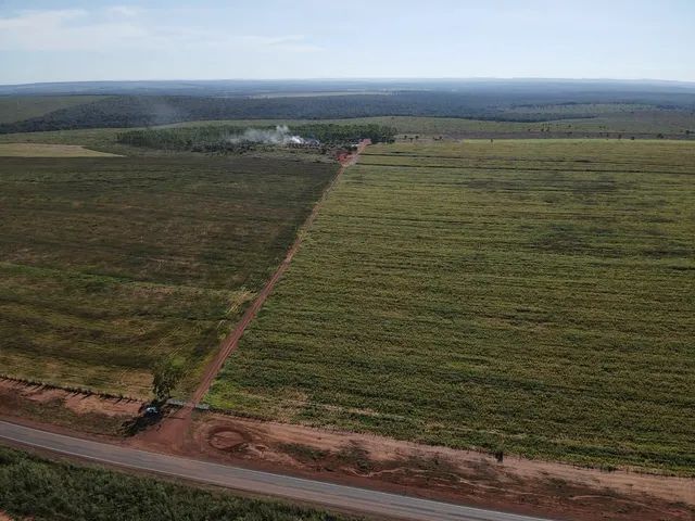FAZENDA  DE OPORTININADE TOCANTINS  - Foto 5