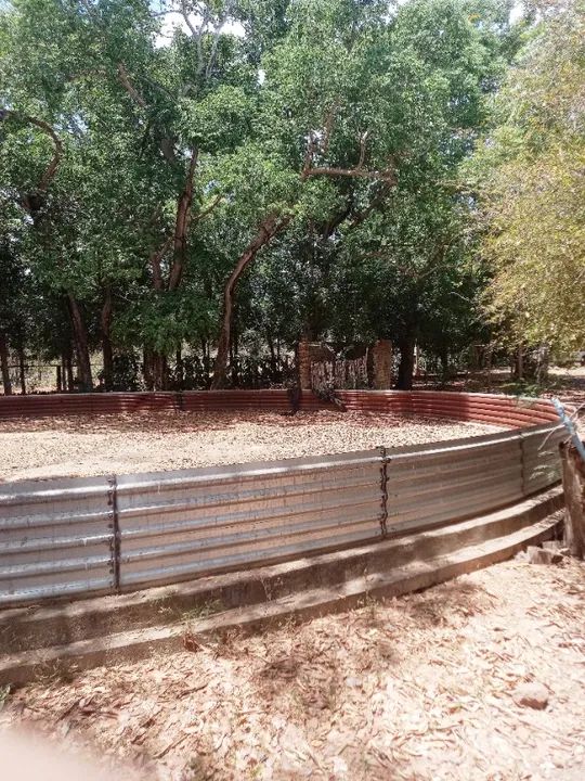 Fazenda dupla aptidão em Piracuruca - 4800 Hectares - Foto 5