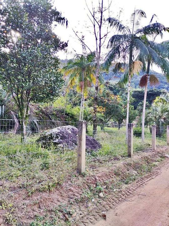 Sítio à venda, 142000 m² por R$ 900.000,00 - Angelina - Angelina/SC - Foto 2