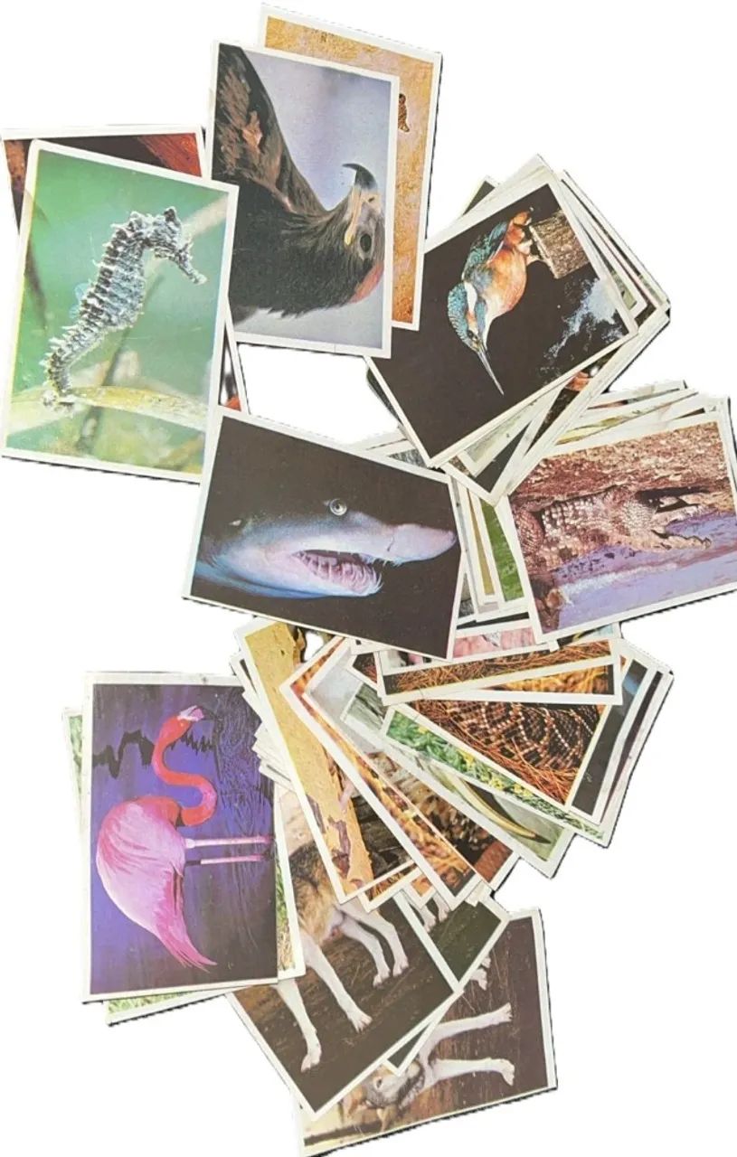 Lote Com 45 Figurinhas Coleção Reino Animal Colgate 1982 