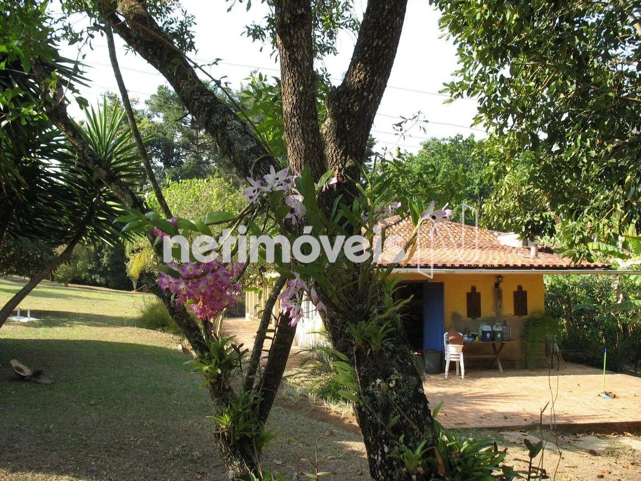 Chácaras à venda em Queluzito! - Foto 2