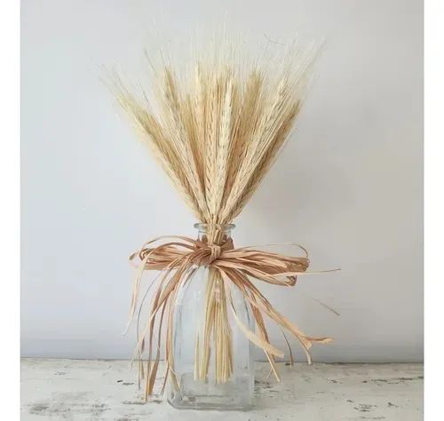 Trigo seco para decoração - Foto 5