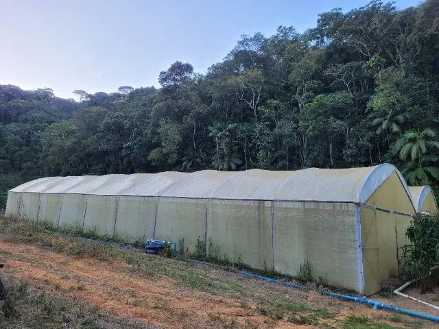 Estufa Agrícola - Foto 2