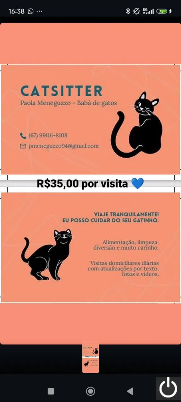 Cat sitter
