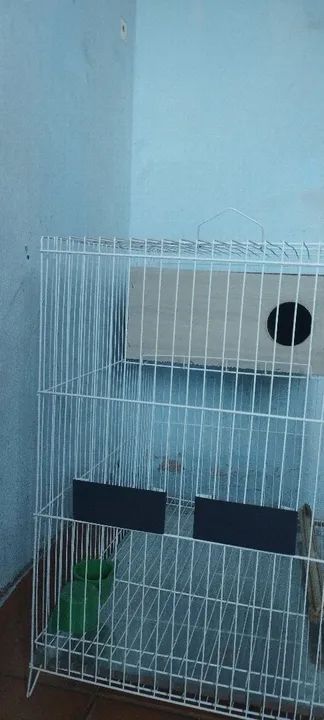 Gaiola de calopsita completa - Foto 4