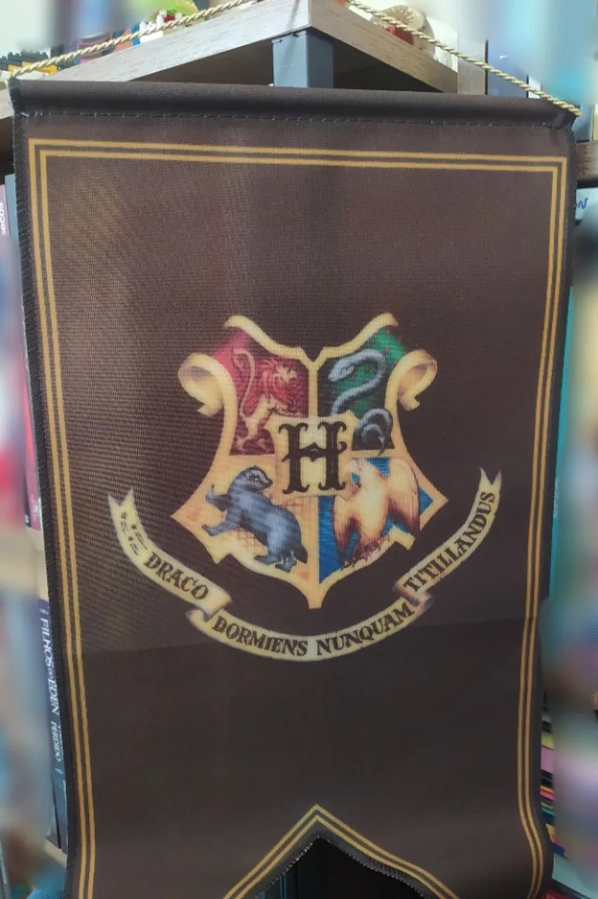 Flâmula tecido Harry Potter - Foto 2