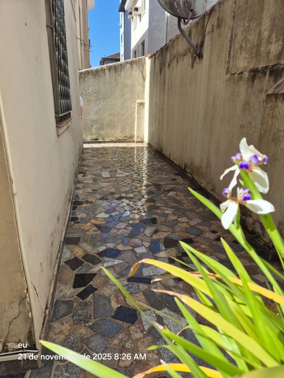 Foto - Santos - Campo Grande