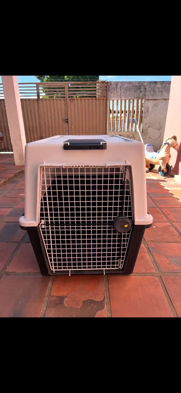 Caixa de transporte animal grande 