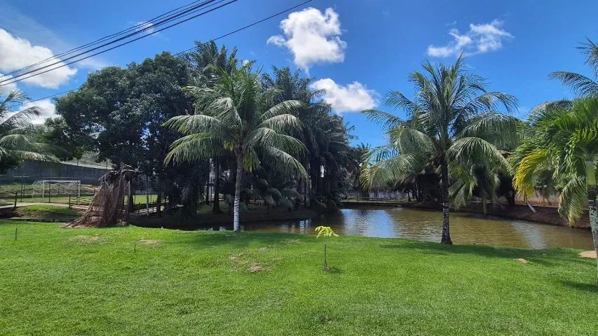 Foto - Lauro de Freitas - Portão