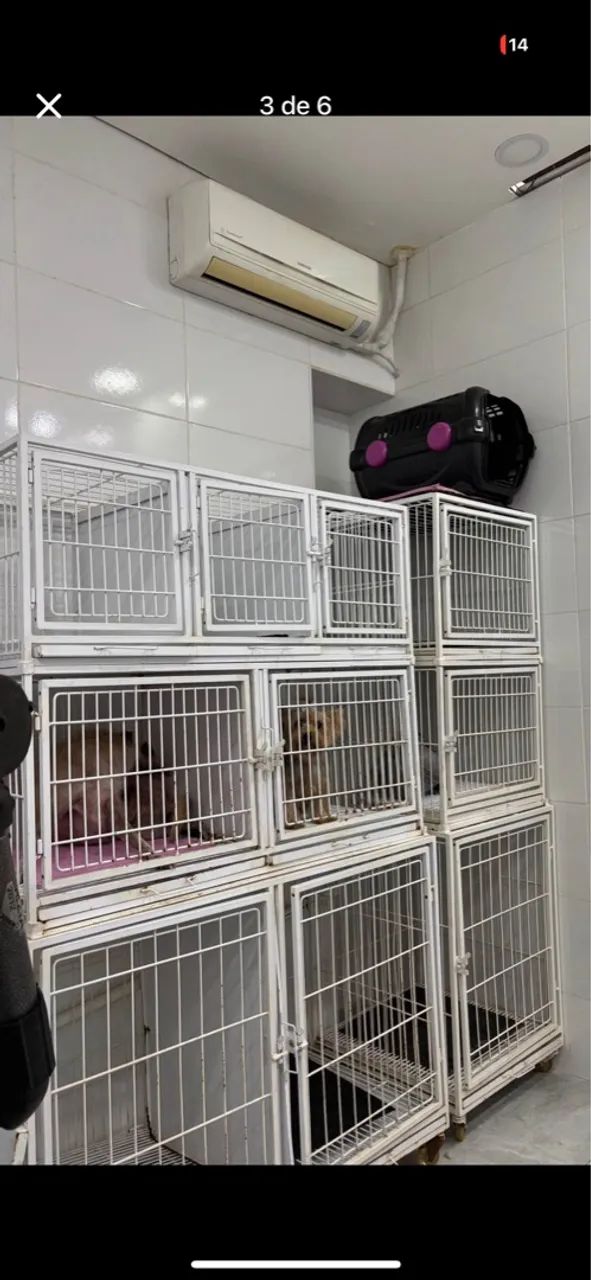 Passo ponto pet shop Carrefour do limão  - Foto 4