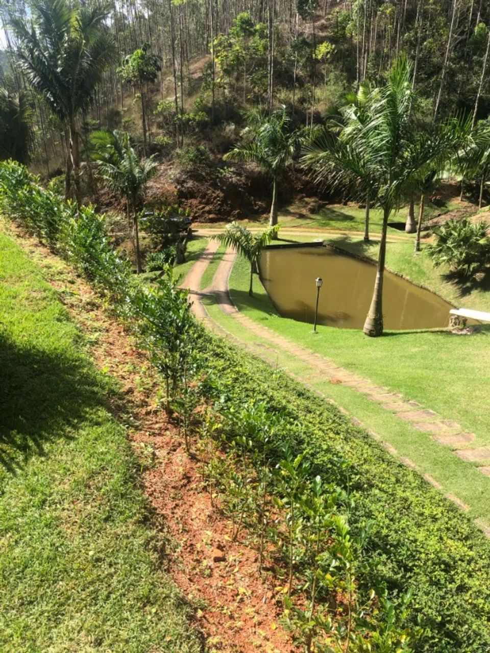 SITIO SANTA TERESA - 400.000 m² - Diversas nascentes dentro da propriedade - Foto 4