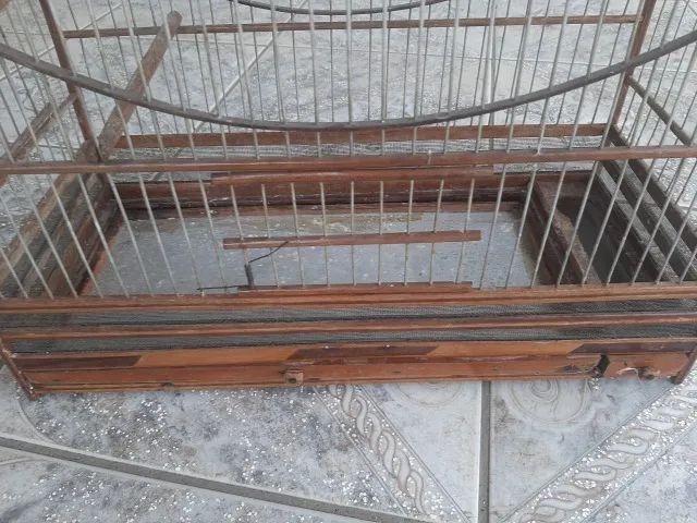 Gaiola de Madeira Usada em perfeito estado - Foto 2