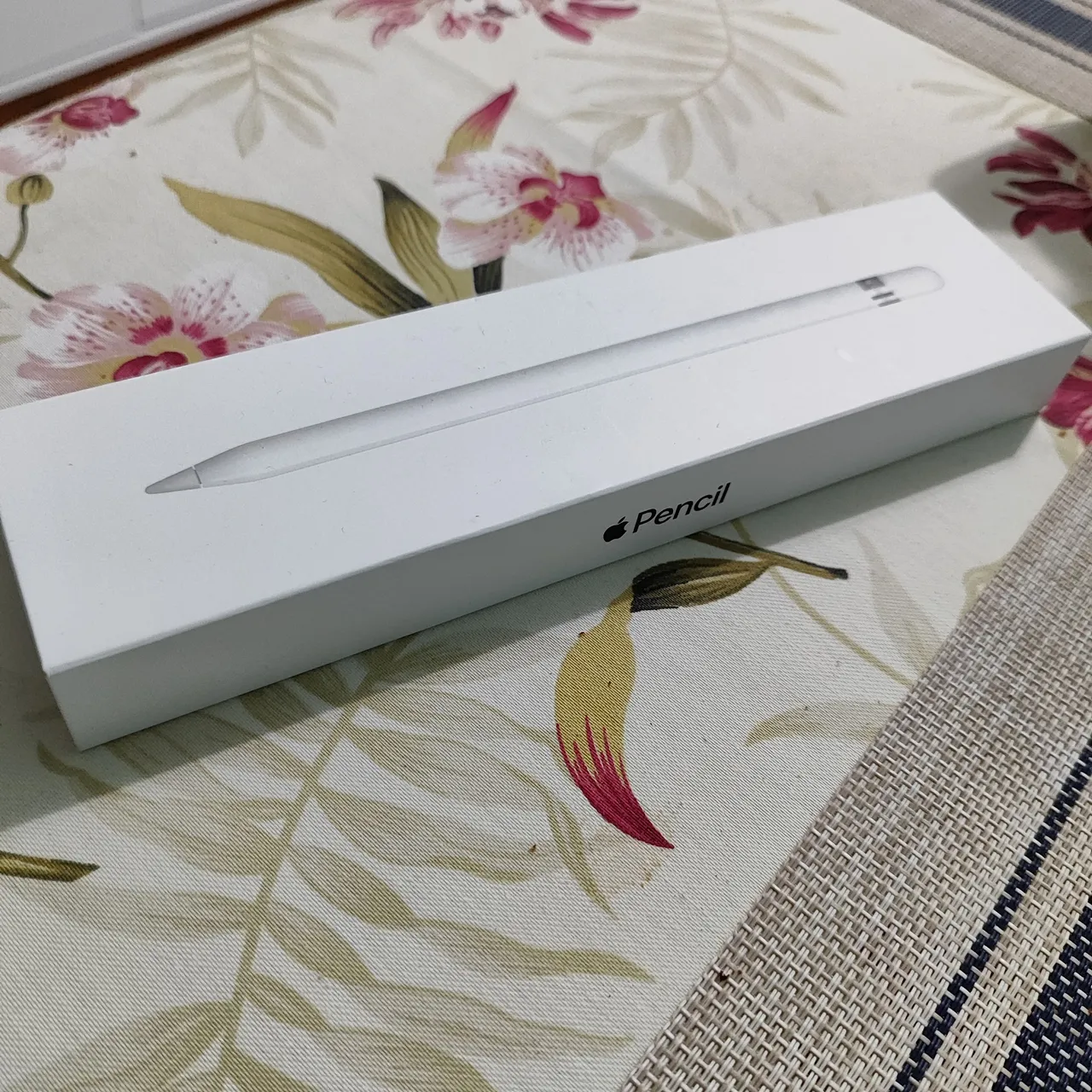 Apple Pencil para iPad