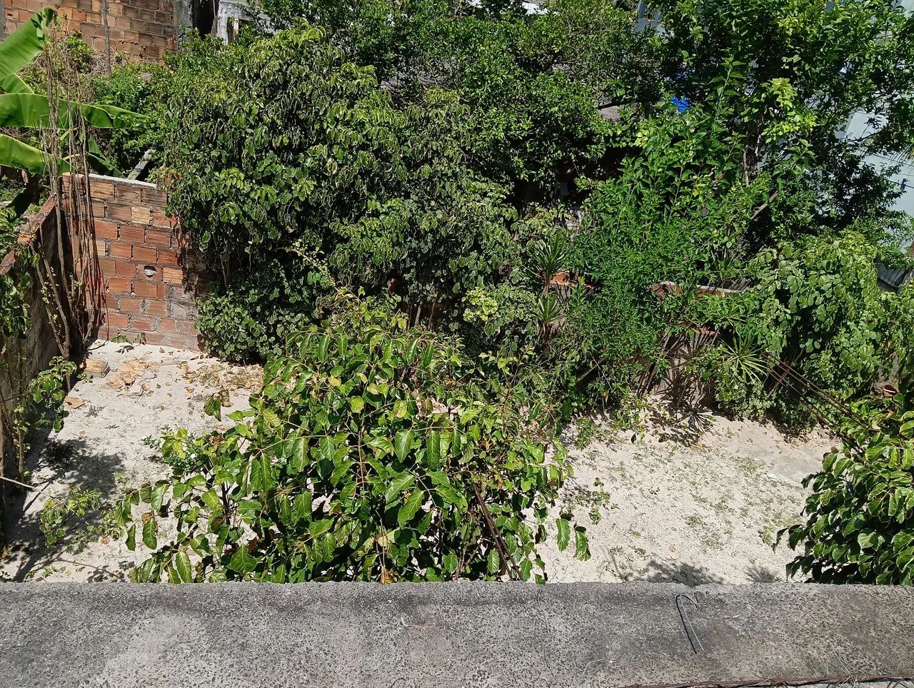 Vendo uma casa em ilha de maré. - Foto 5
