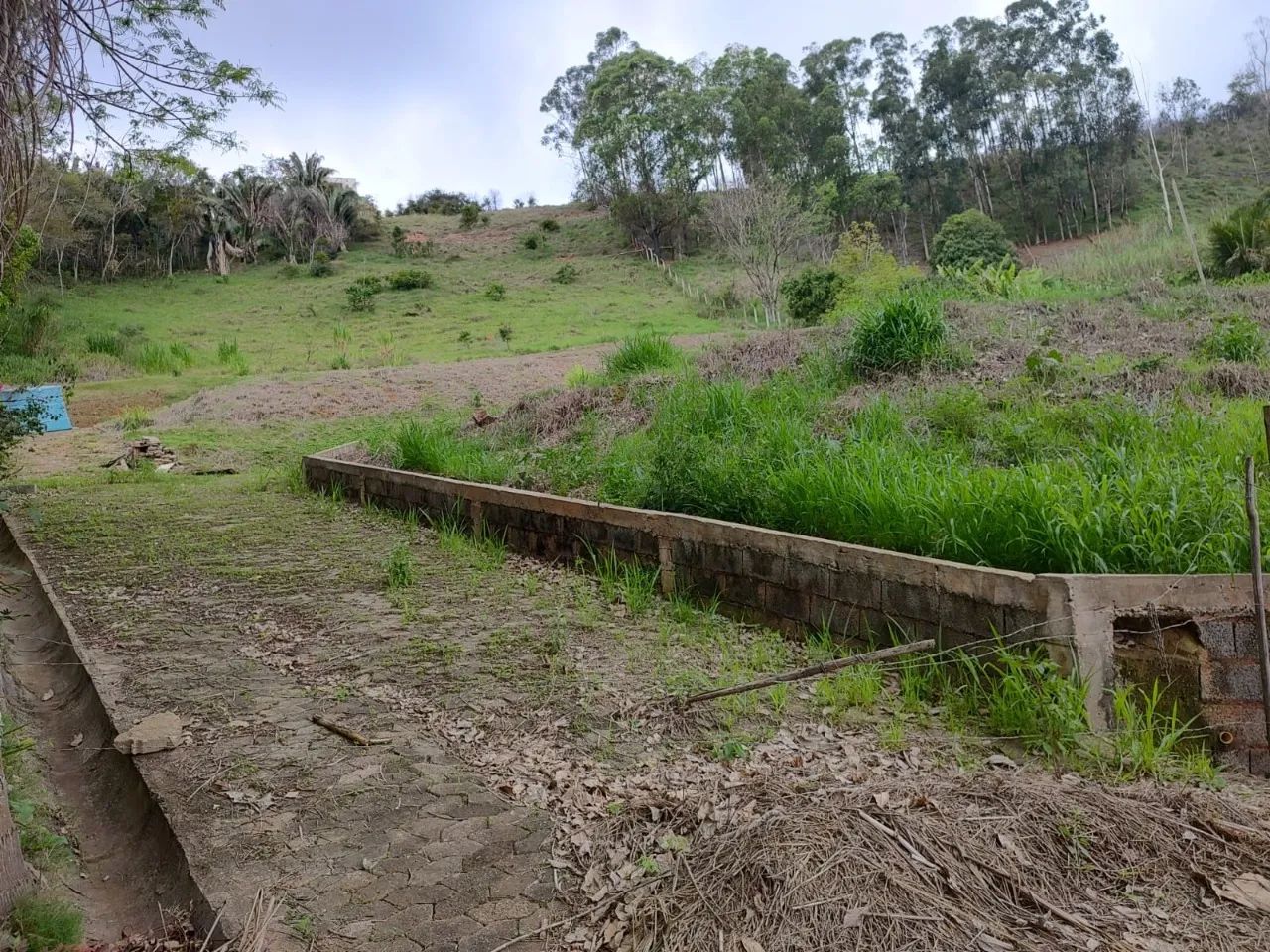 Chácara no bairro Inácio Martins, Viçosa-MG - Foto 5