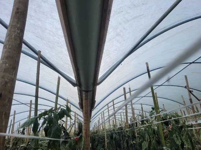 Estufa Agrícola - Foto 5