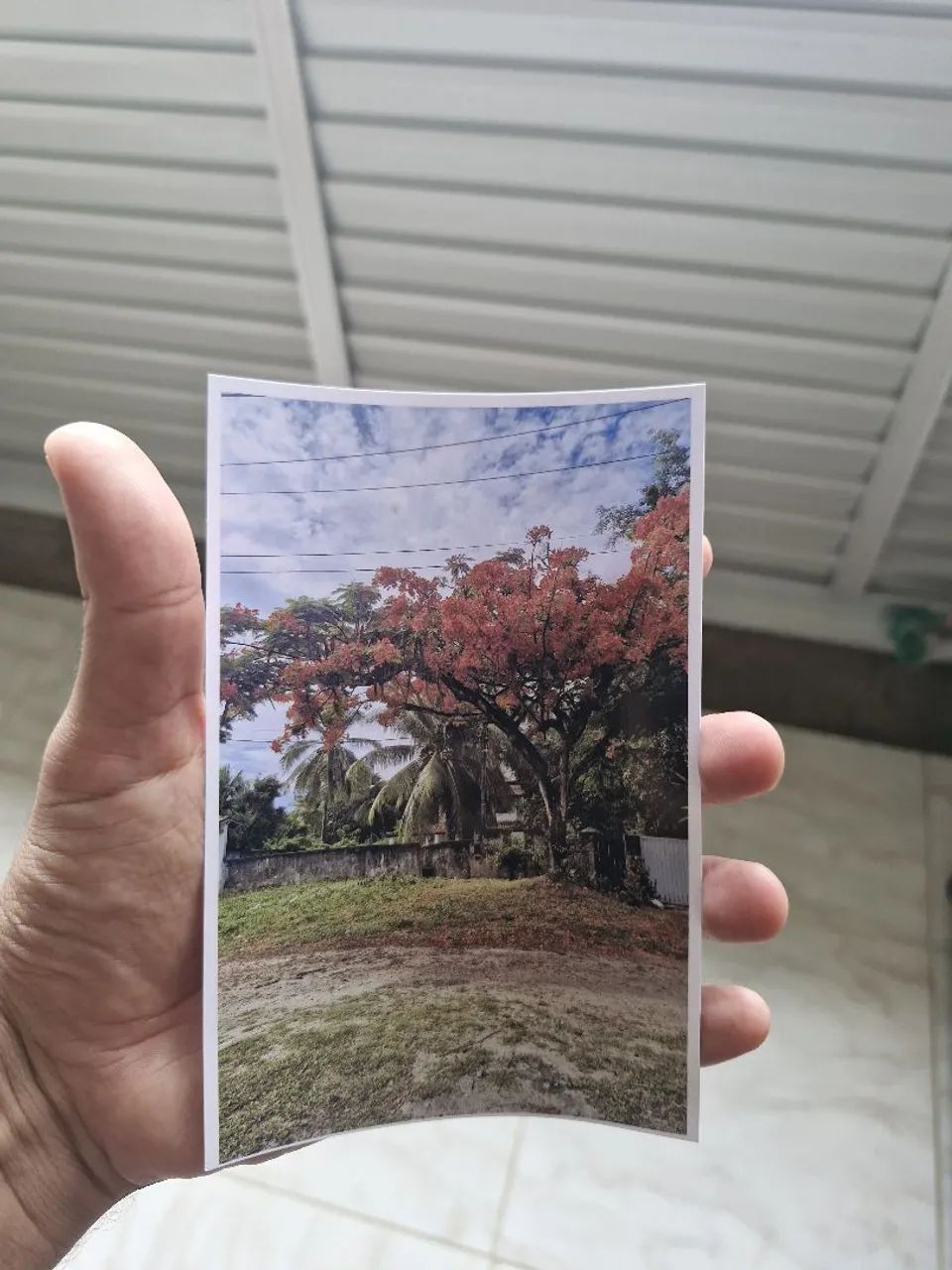 Impressão de Fotos no Papel  Fotográfico10X15 cm