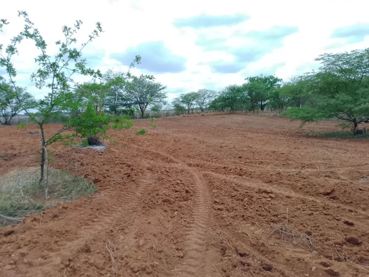 Uma tarefa em Irecê Bahia  - Foto 4