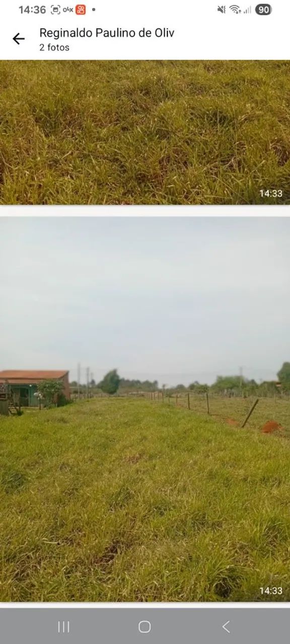 Terreno  lotes