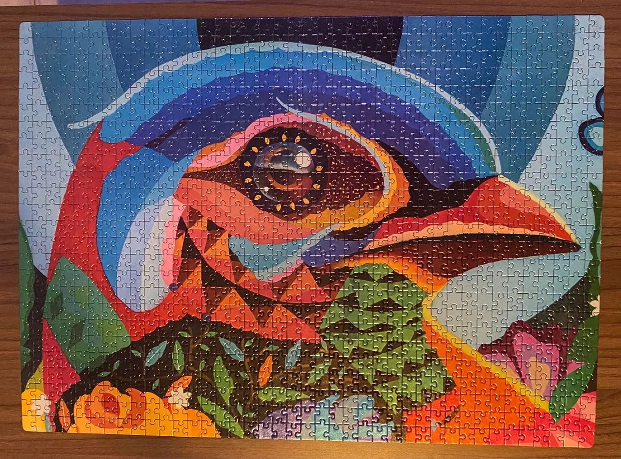 Quebra-cabeça Pássaro em Cores 1000 peças  - Foto 2