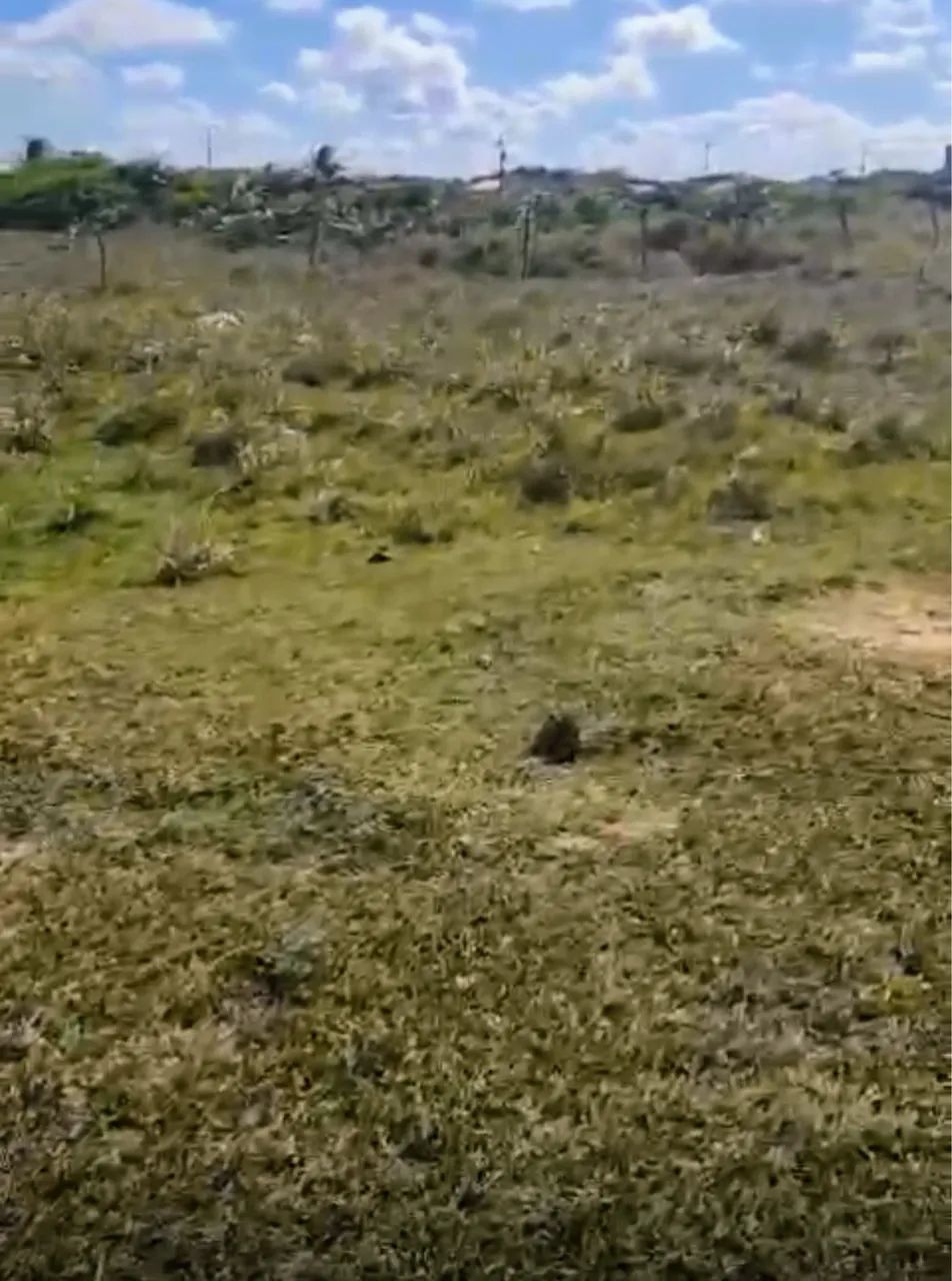 Terreno na praia do Abays - Foto 3