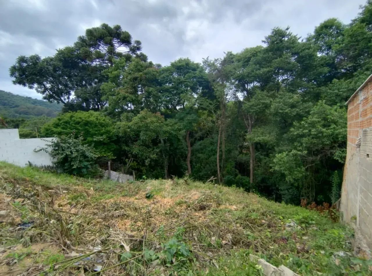 Terrenos Padrão em Caldas - Foto 2