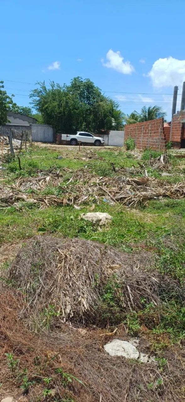 Terreno taiba - Foto 4