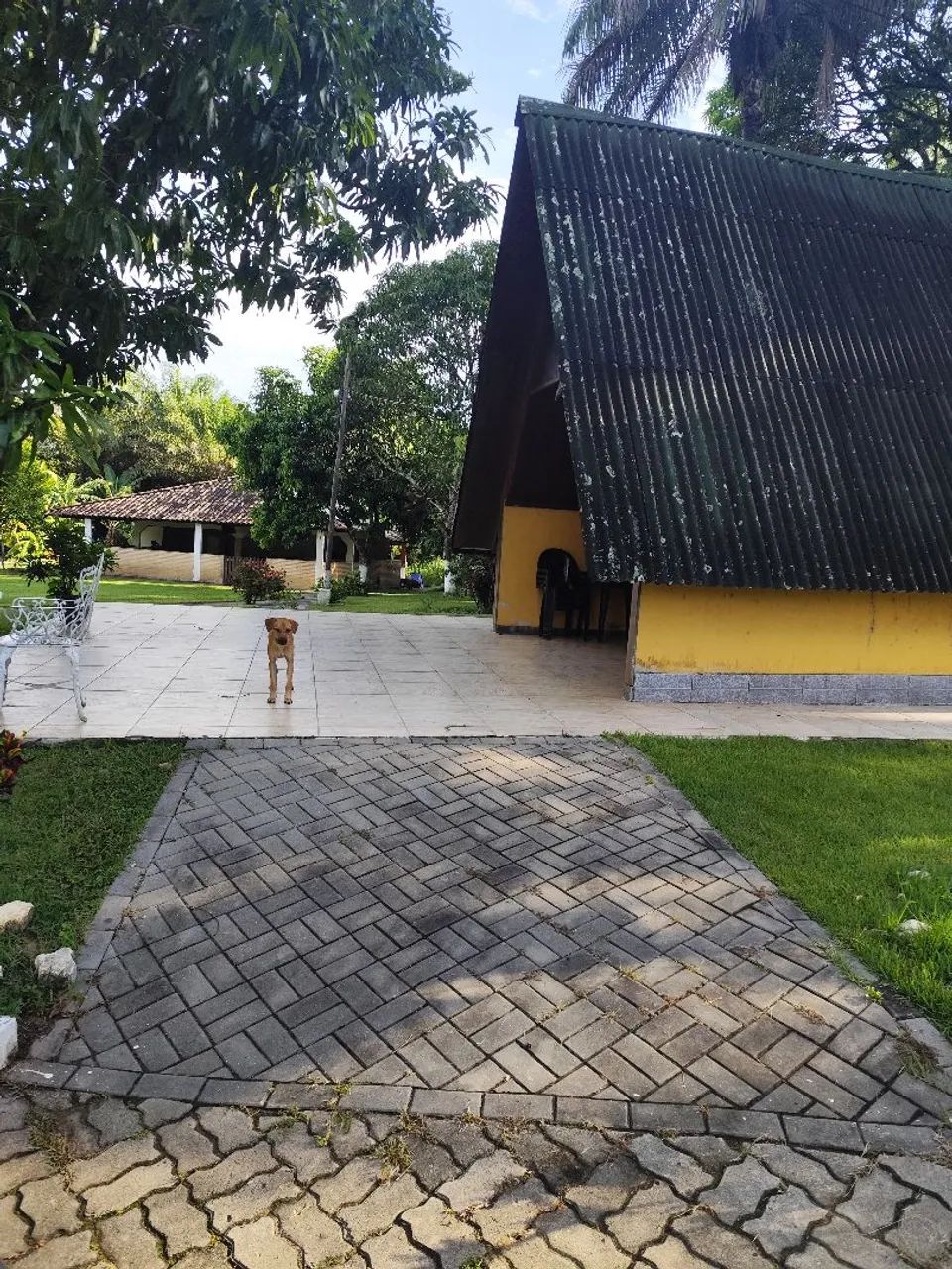 CHALÉS/SÍTIO TEMPORADA. FERIADO SEMANA SANTA - Foto 11