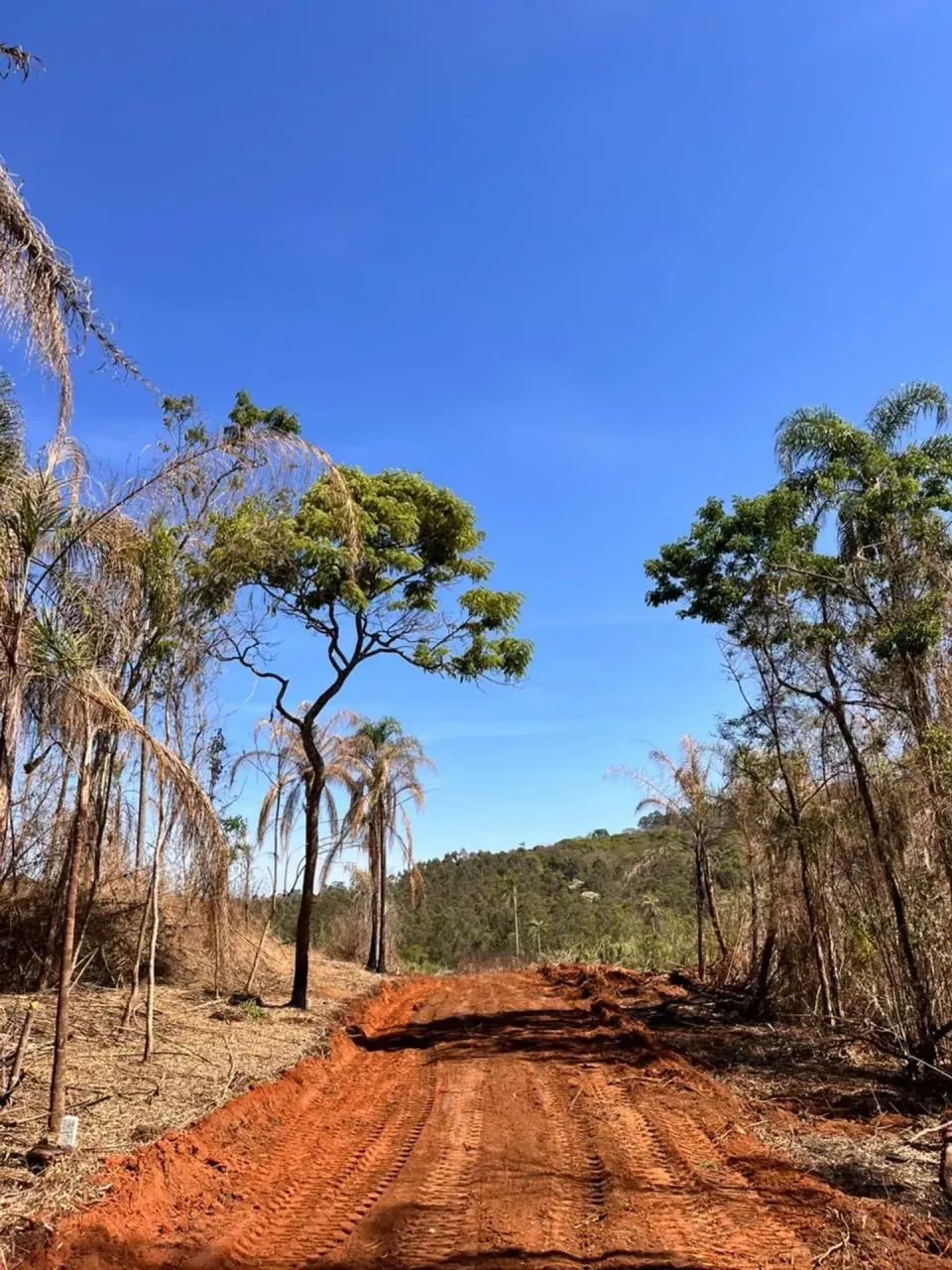 Terreno em Terra Preta com grande potencial! - Foto 3