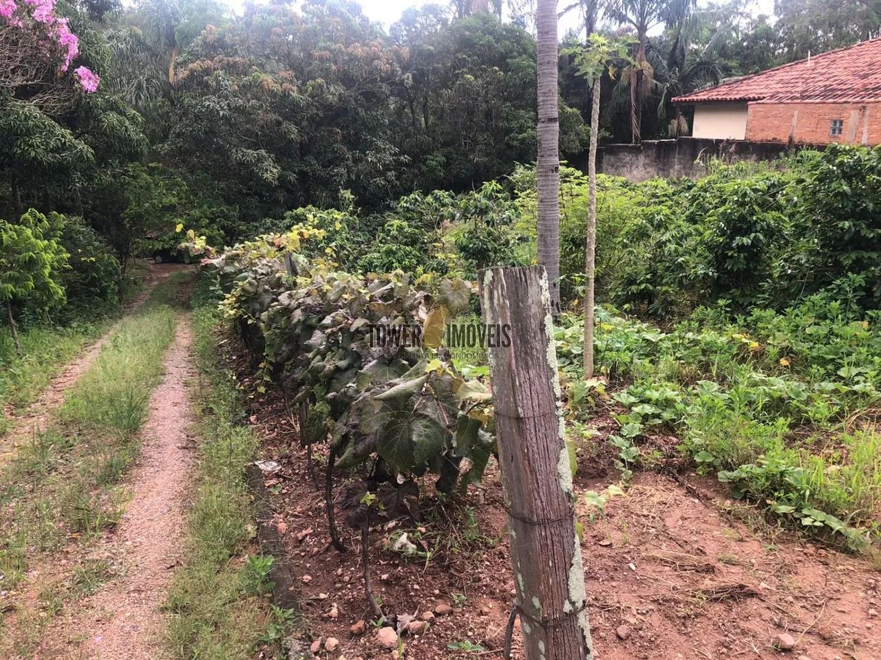 chácara - São Joaquim - Vinhedo - Foto 2