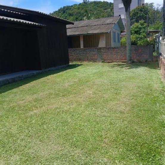 Roçagem, Jardinagem, Restauração de Madeirados - Foto 2