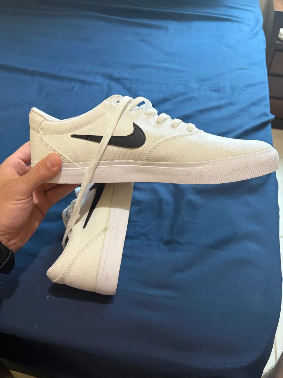 Tênis Nike SB