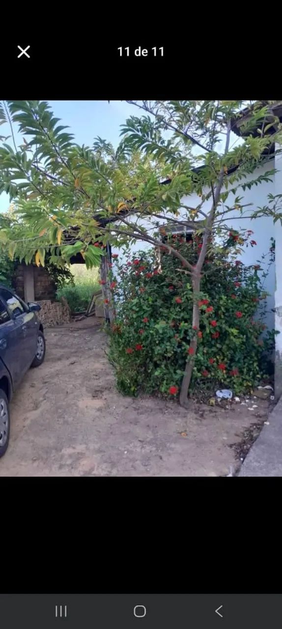Vendo casa com ponto comercial bairo caumer  - Foto 4