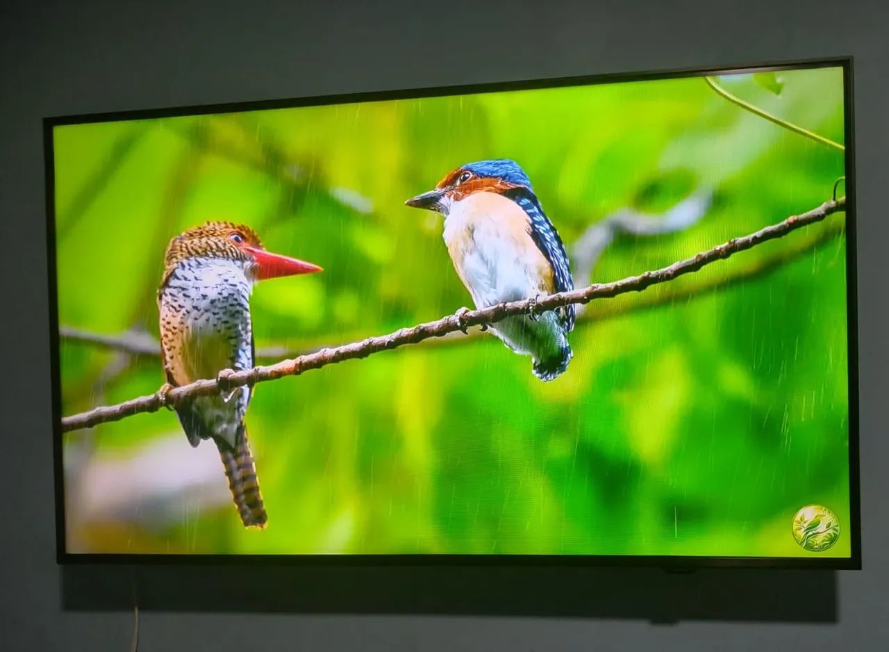 TV Samsung 43  - Foto 2
