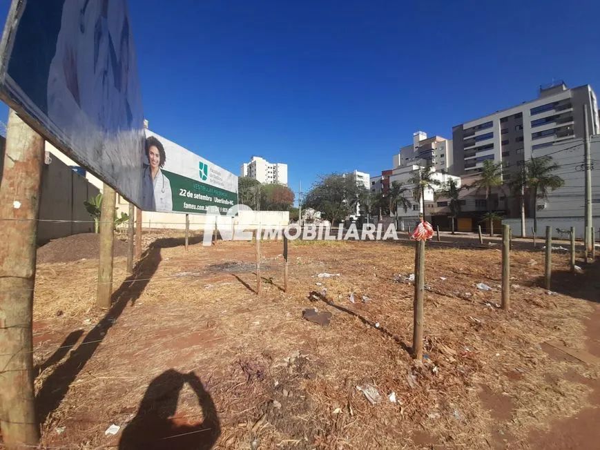 Aluguel Terreno SANTA MONICA - Foto 3