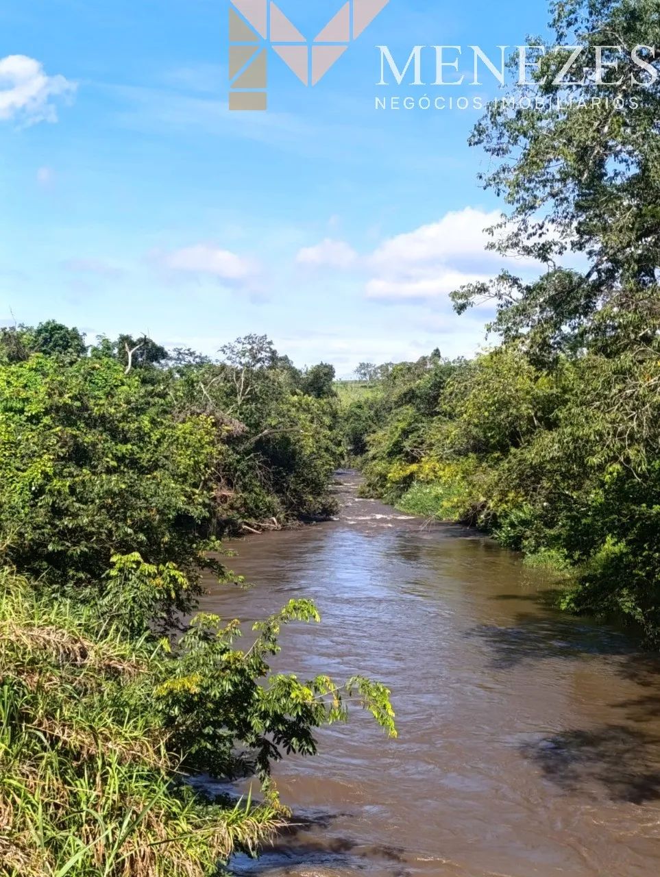 Fazenda à venda em Cajuru/SP - Foto 3