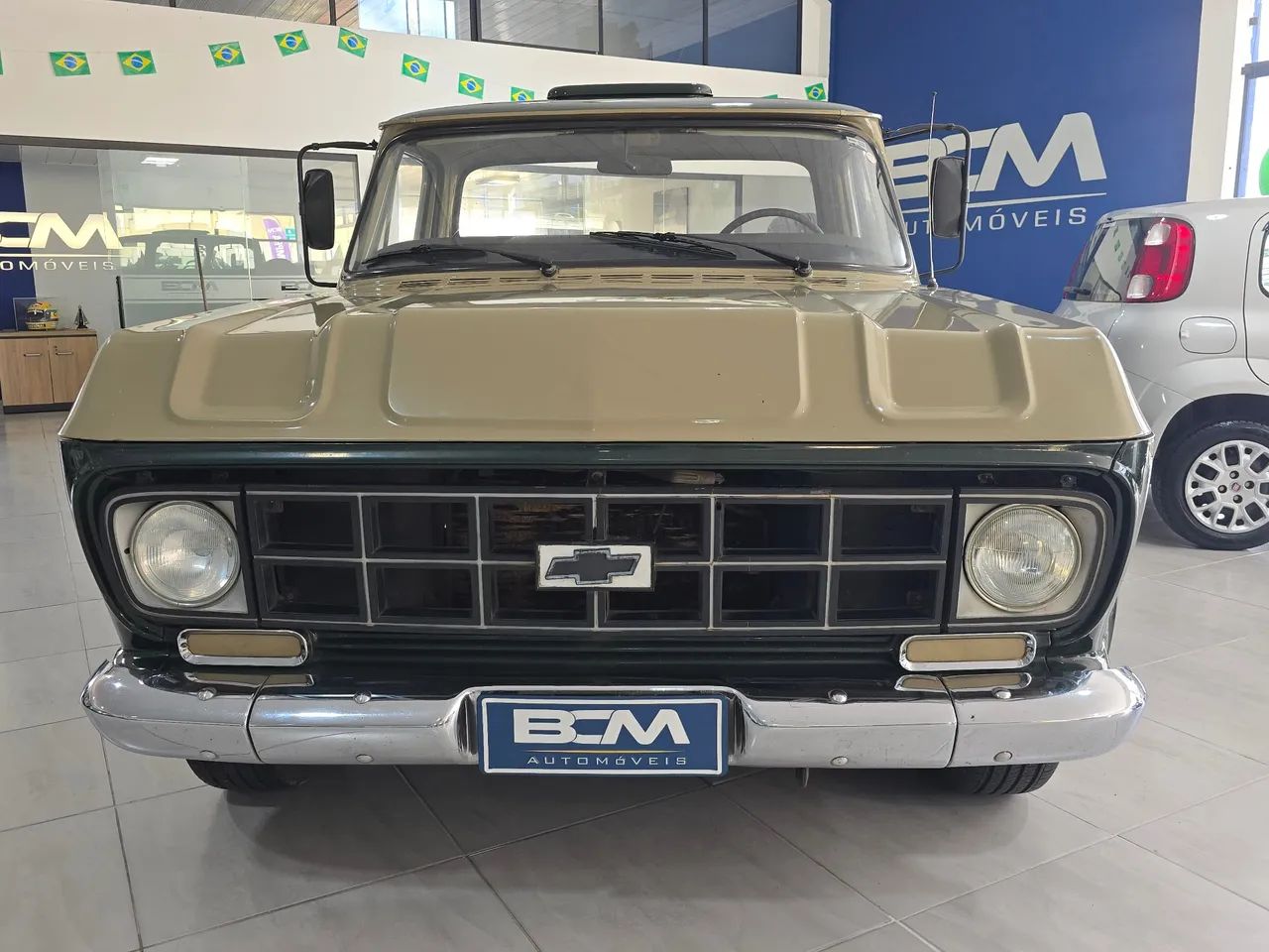 Chevrolet D-10 Diesel 1984 - Foto 4