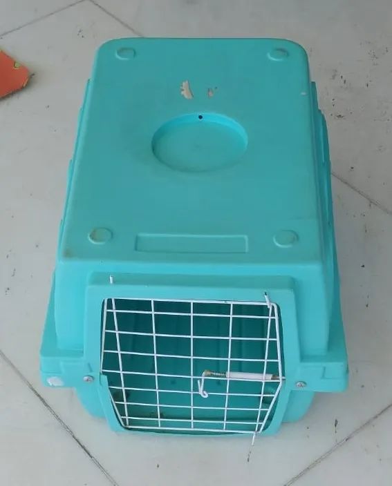 Boxe de transporte de Animais - Foto 3
