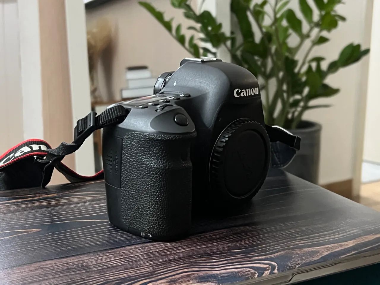 Cânon 6d420252116530636802