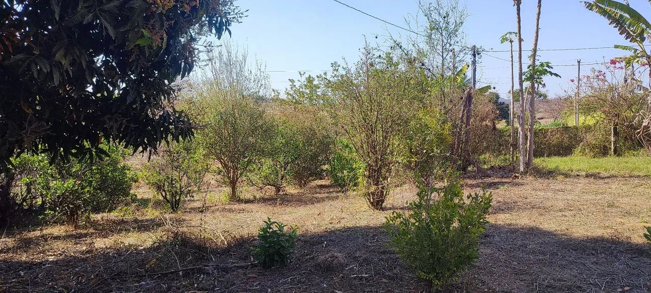 Vendo terreno com casa .  - Foto 2