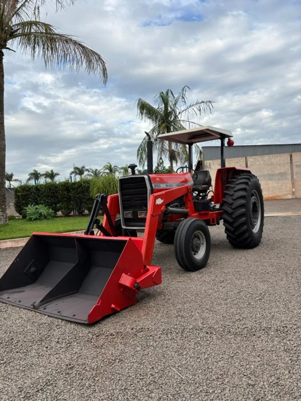 TRATOR MF 290 C/COMCHA  1987