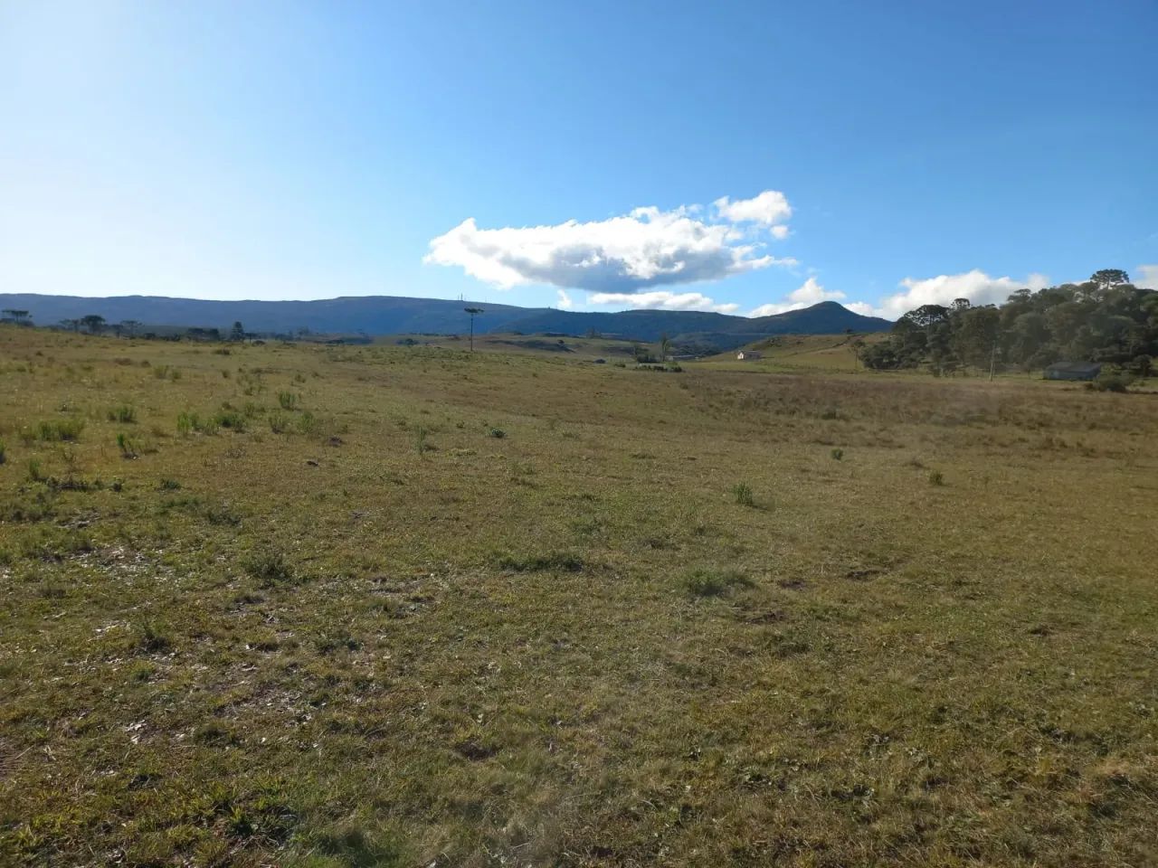 sitio a venda em Urupema - Foto 5