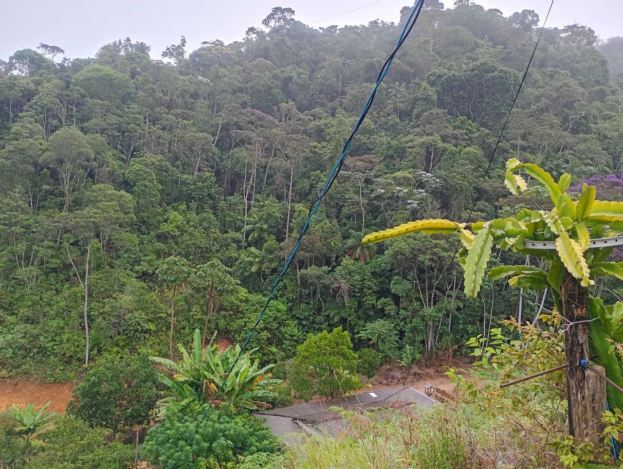 Vende-se chácara divisa de Marechal Floriano - Foto 3