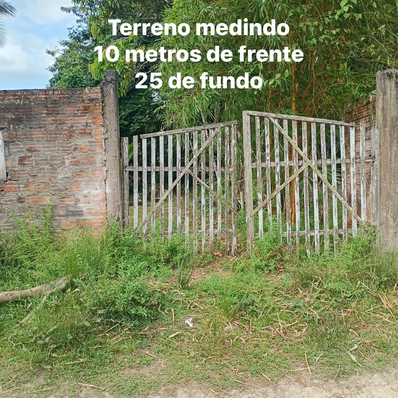 Venda terreno mosqueiro  - Foto 5