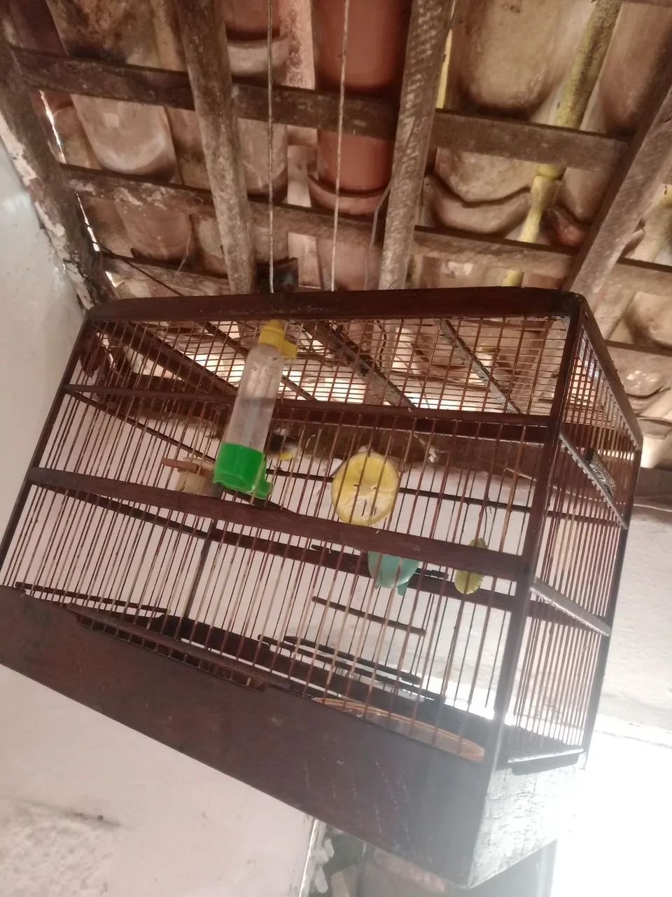 Sibite  - Foto 2