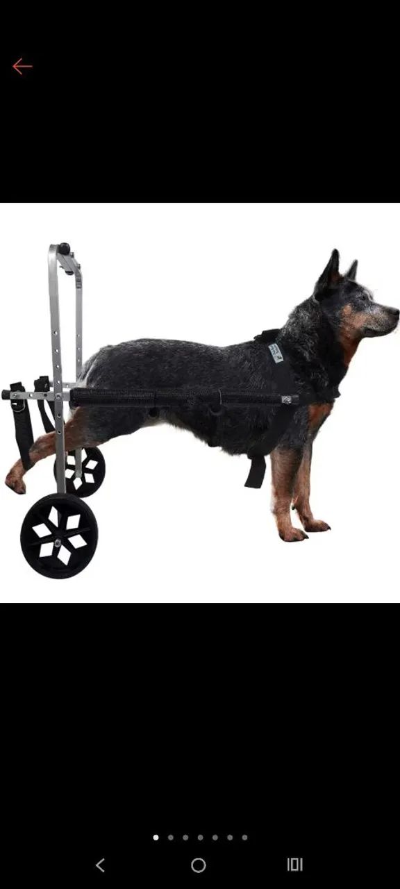 Andador para cães  - Foto 2