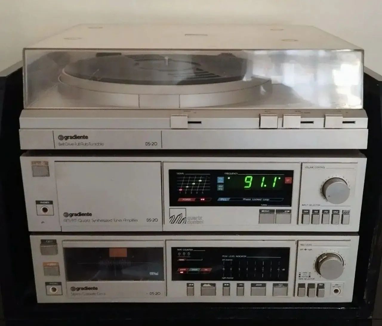  Reviver gradiente ds20 - Foto 3