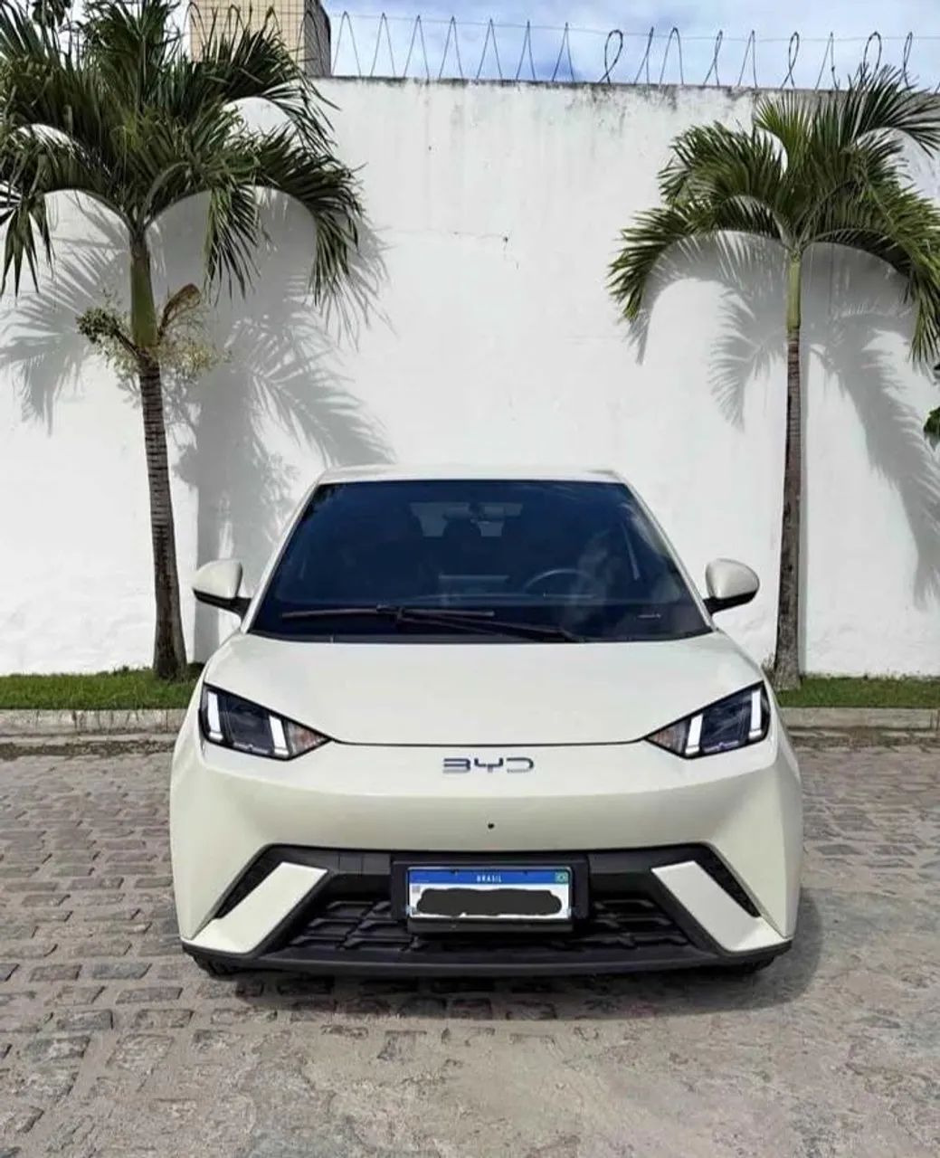 BYD Dolphin Mini (Elétrico) 2024